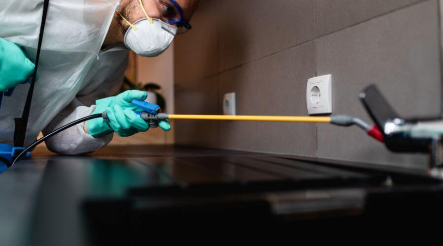 Why choose Wentzville Integrated Pest Management for integrated pest management in Wentzville